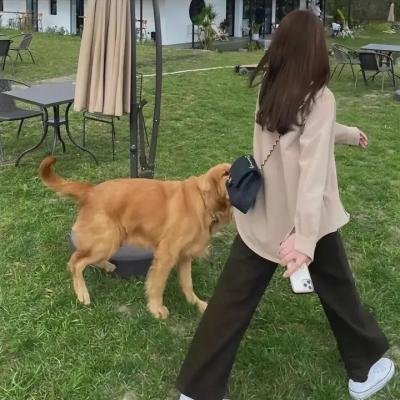 艳窟泪痕